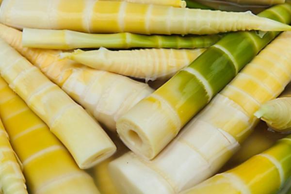 竹筍炒肉的做法大全