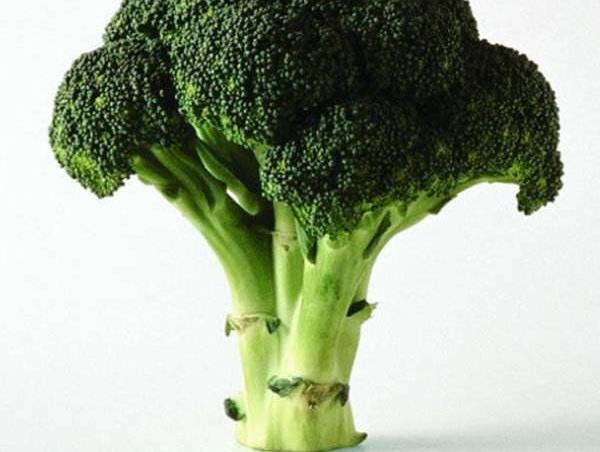 西蘭花的根能吃嗎