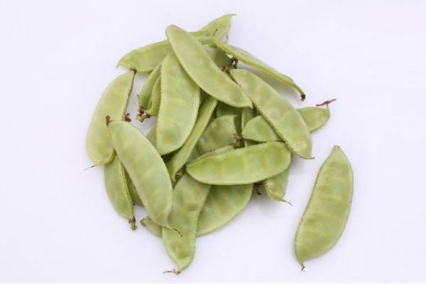 扁豆的功效與作用及禁忌