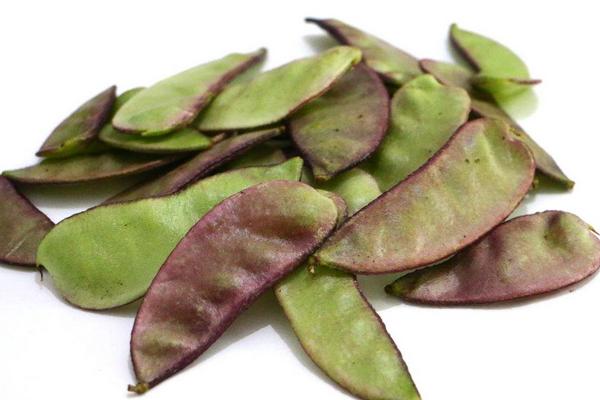 扁豆的功效與作用及禁忌