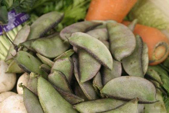 哺乳期可以吃扁豆嗎