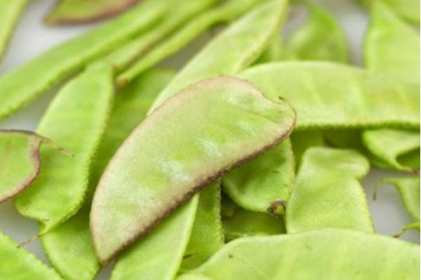 炒扁豆的功效與作用及禁忌