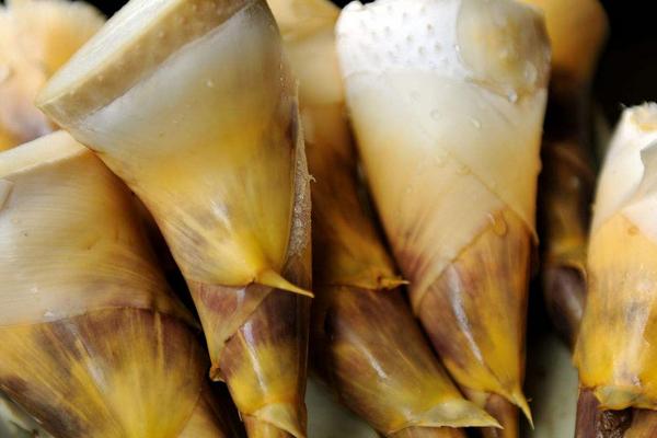 竹筍炒肉什么意思