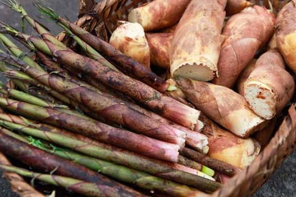 竹筍炒肉什么意思