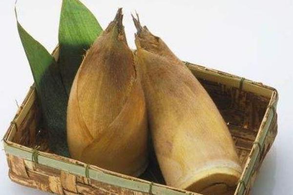 竹筍苦是怎么回事