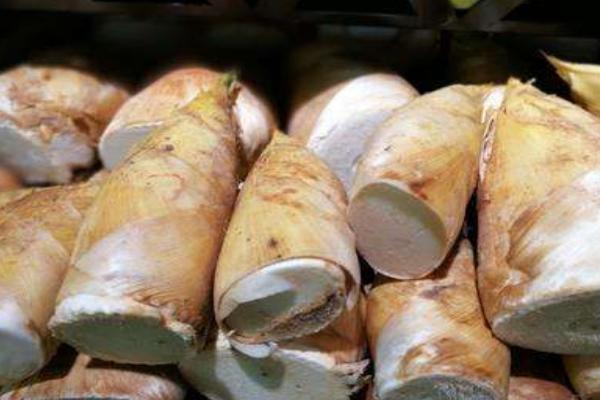 竹筍苦是怎么回事