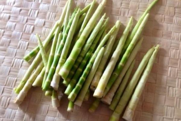 竹筍苦是怎么回事