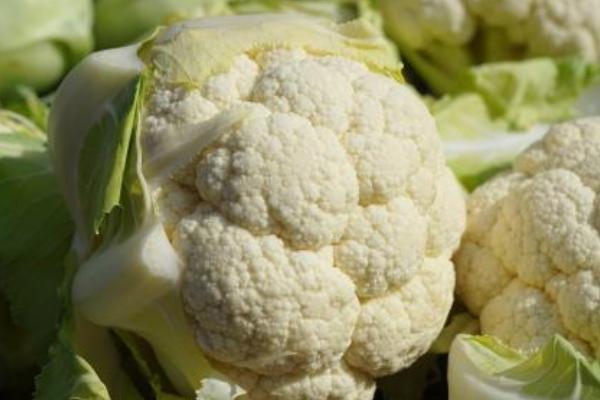 花椰菜圖片大全