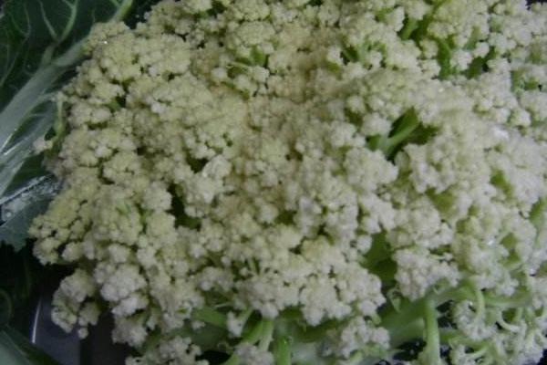 花椰菜圖片大全