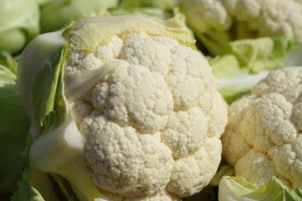 花椰菜圖片大全