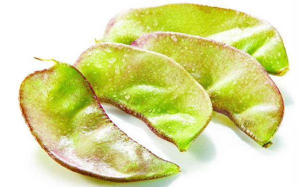 扁豆皮的功效與作用及禁忌