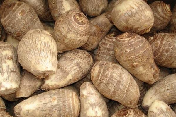 芋頭怎么做好吃