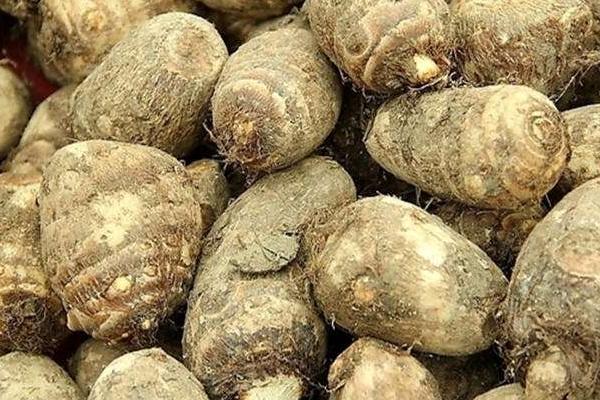 芋頭怎么做好吃