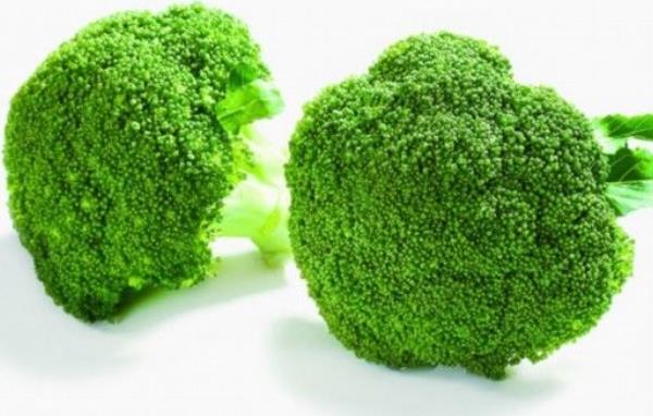 西蘭花是發(fā)物嗎