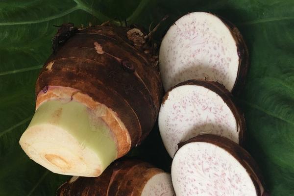 荔浦芋頭怎么去皮