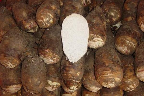 荔浦芋頭怎么去皮