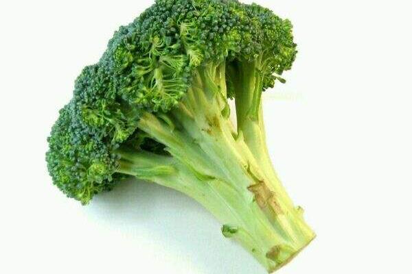 西蘭花的莖能吃嗎