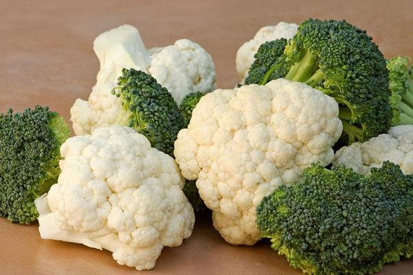 花椰菜圖片大全