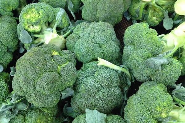 西蘭花怎么做好吃