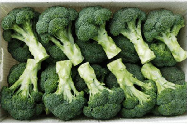 西蘭花怎么保存