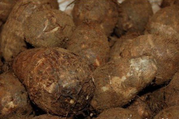 荔浦芋頭營養價值