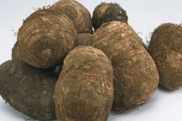 荔浦芋頭怎么保存