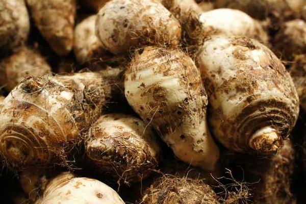 芋頭和什么相克