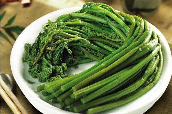 蕨菜價格多少錢一斤