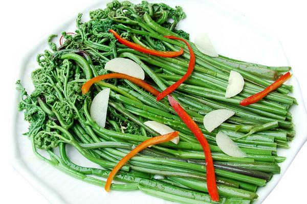 蕨菜的功效與作用及禁忌