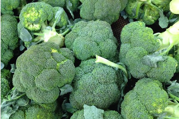 西蘭花圖片大全