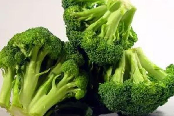 西蘭花圖片大全