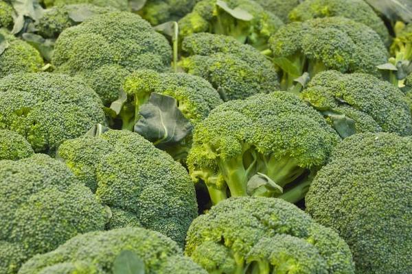 西蘭花圖片大全