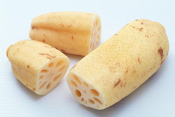 蓮藕是怎么種出來的