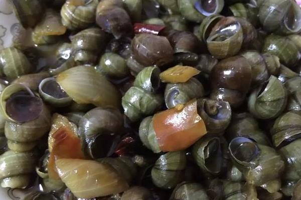 養殖田螺霉菌病的治療方法