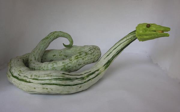 吃蛇瓜要削皮嗎