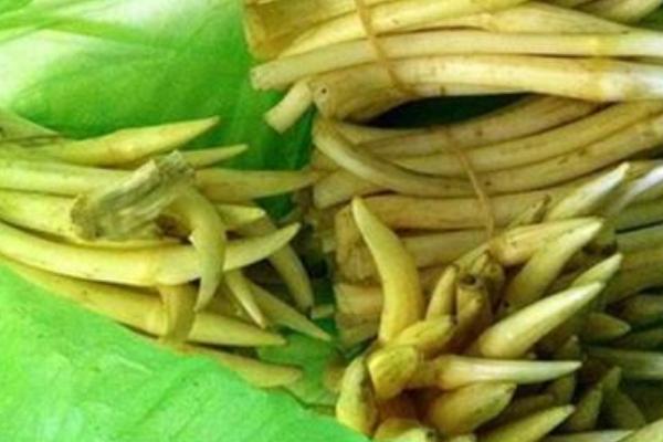 藕帶價格多少錢一斤