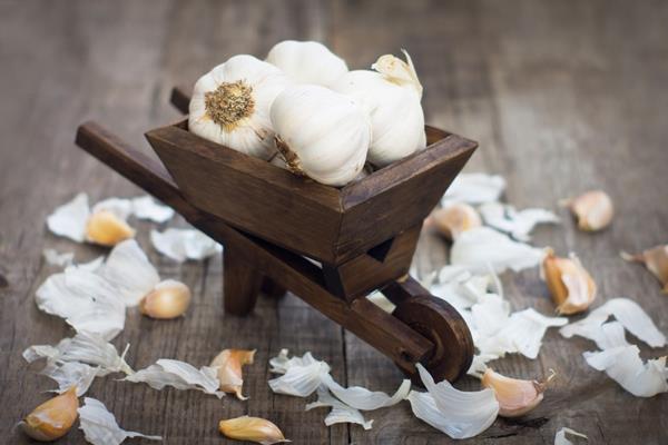 冰糖大蒜水的功效與作用及禁忌