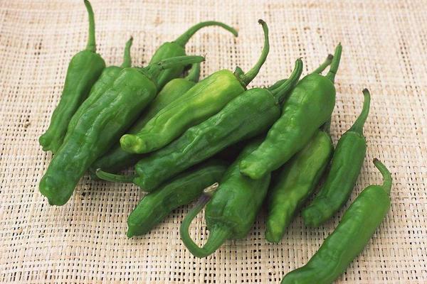 青椒價格多少錢一斤