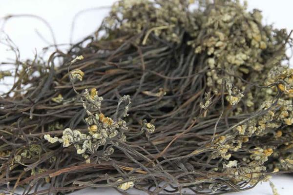 孕婦可以吃蕨菜干嗎