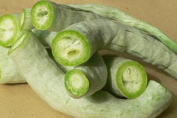 蛇瓜的功效與作用及禁忌