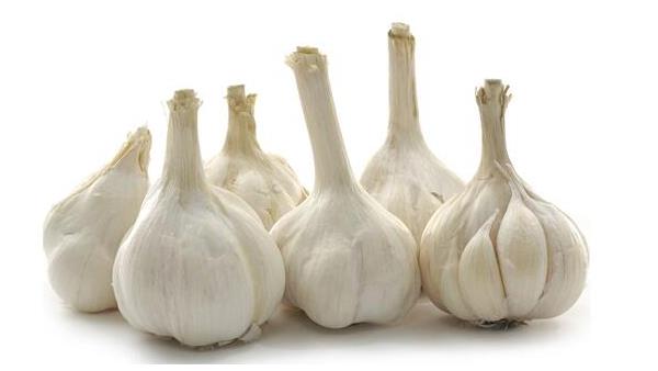 大蒜圖片大全