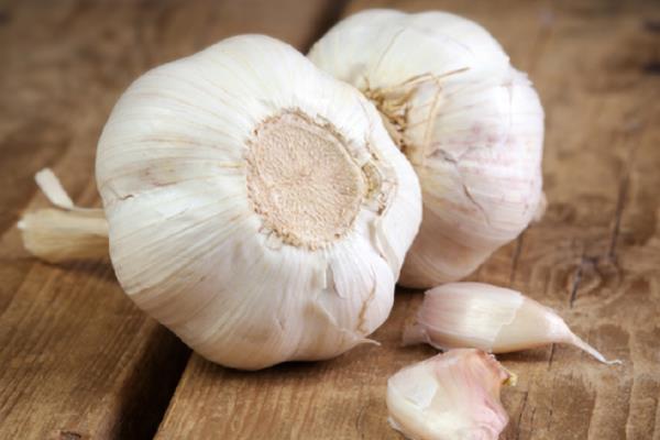 大蒜圖片大全