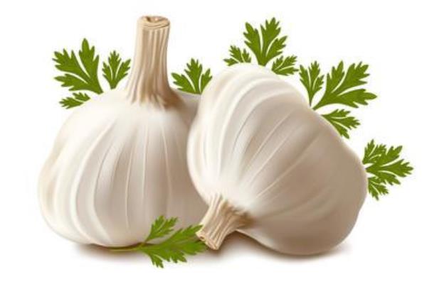 大蒜圖片大全