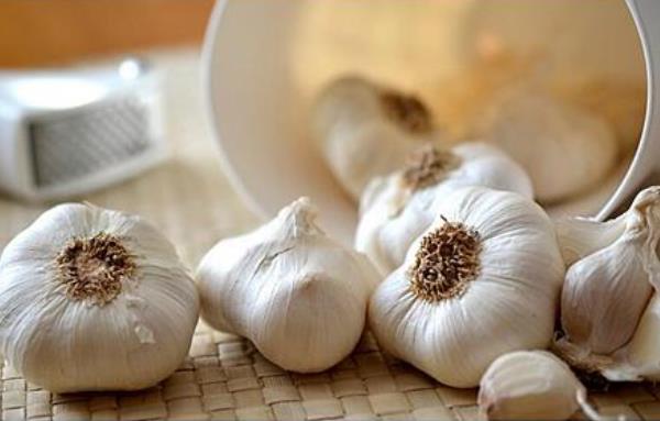 大蒜圖片大全
