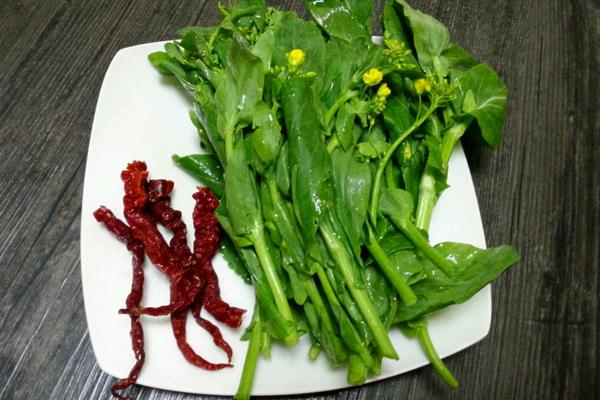 油菜的做法大全