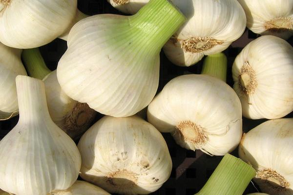 大蒜祛斑的方法及步驟