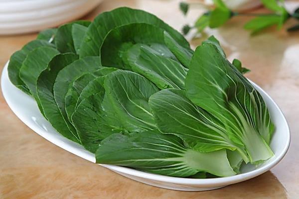 油菜功效與作用及禁忌