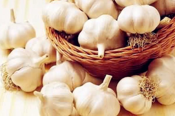 大蒜怎樣保存不發(fā)芽