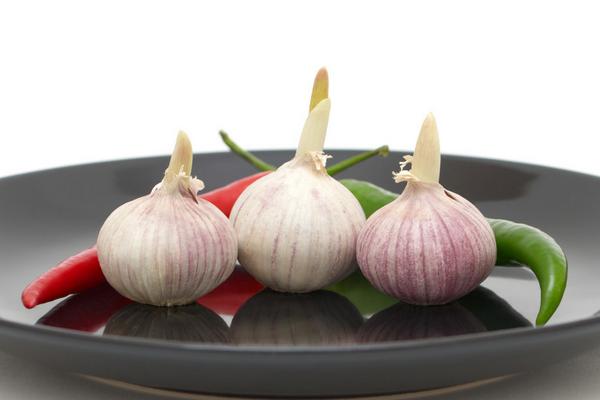 大蒜怎樣保存不發(fā)芽