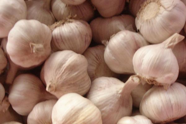 金鄉(xiāng)大蒜價(jià)格多少錢一斤